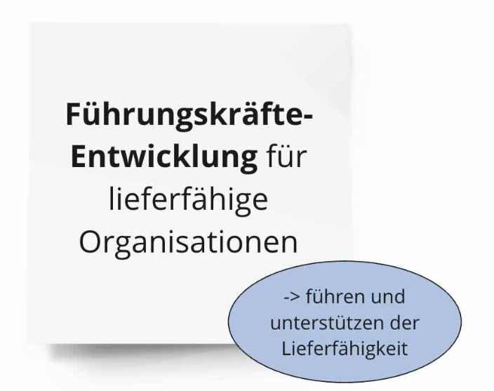 Führungskräfte-Entwicklung für lieferfähige Organisationen